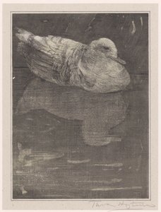 yüzen ördek by Theo van Hoytema (signed by artist)