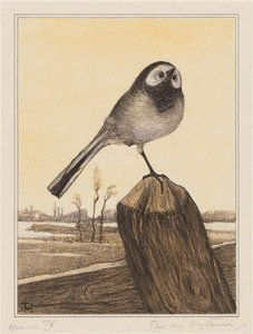 Kutup üzerinde kuyruksallayan by Theo van Hoytema (signed by artist)