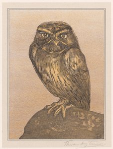 Kayanın üzerinde küçük baykuş by Theo van Hoytema (signed by artist)