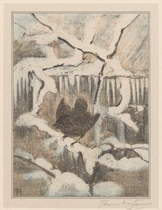 Karlı dalda çalıkuşu by Theo van Hoytema (signed by artist)