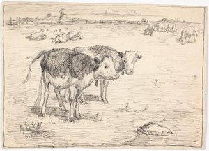 "Fladen", Saltholm