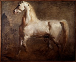 Sol profildeki beyaz at çalışması Theodore Chasseriau