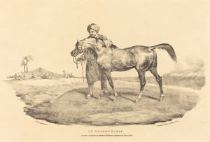 Bir Arap Atı by Theodore Gericault