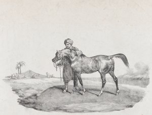 Bir Arap Atı, 1821 by Theodore Gericault