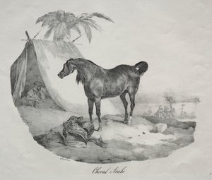 Arap atı by Theodore Gericault