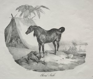  by Theodore Gericault