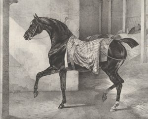 Bir Ahırda Bağlı Siyah At, 1822. by Theodore Gericault