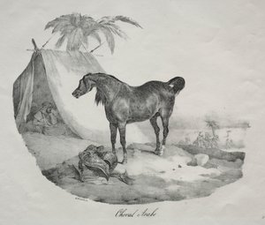 Arap atı. by Theodore Gericault