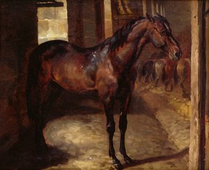 Ahırda Dark Bay Horse