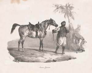 mısır kısrağı by Theodore Gericault
