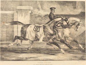 Egzersiz Yapan Atlar by Theodore Gericault