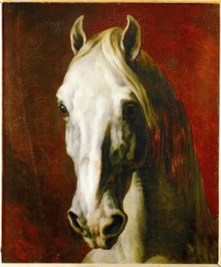 Beyaz bir atın başı by Theodore Gericault