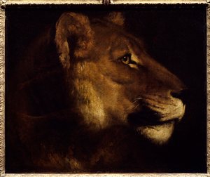 Aslan Başı Resmi Theodore Gericault (1791-1824) 19. yüzyıl Güneşi. 0,55x0,65 m Paris, Musee du Louvre. - Dişi aslan başkanı. Theodore Gericault
