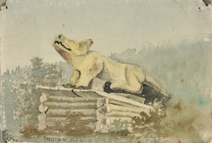  by Theodore J. Richardson