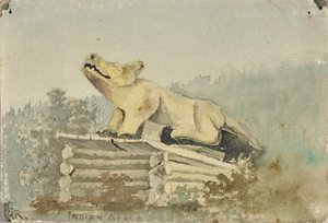 Hint Mezarı. Tıp Adamı Mezarı üzerinde Kurt Totem, Wrangell, ca. 1880-1914.