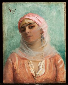 Genç Osmanlı, 1879