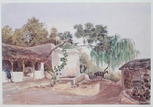Cezayir