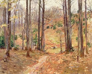 Virginia Ormanı, 1893 by Theodore Robinson