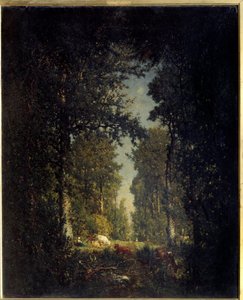 Bir cadde, Isle Adam ormanı. Theodore Rousseau