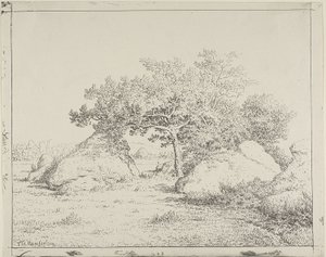 Plante à Biau