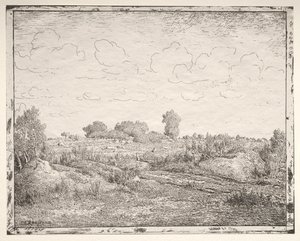 Biau'daki Bitki Ovası by Theodore Rousseau