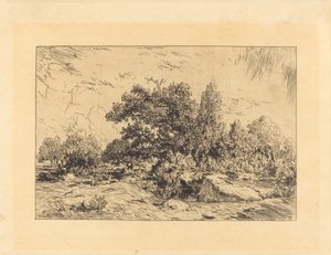 Plateau de Bellecroix