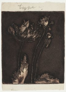 son haşhaş by Theodore Roussel