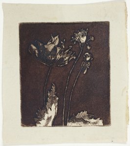 son haşhaş by Theodore Roussel