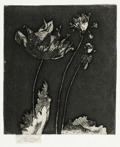 son haşhaş by Theodore Roussel