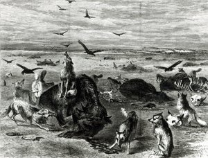 Harpers Weekly 1872