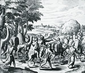 Halep
