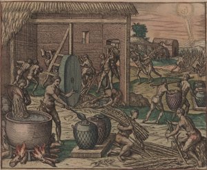 Köleler şeker kamışını işliyor ve şeker üretiyor, 1595. by Theodore de Bry