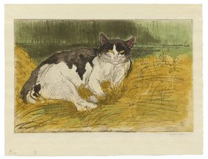 çimenlerin arasında yaşlı siyah beyaz kedi by Théophile Alexandre Steinlen