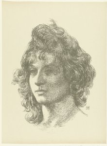 Portret van jonge vrouw Genç bir kadının kafasının incelenmesi Deneme (dizi başlığı) by Théo van Rysselberghe