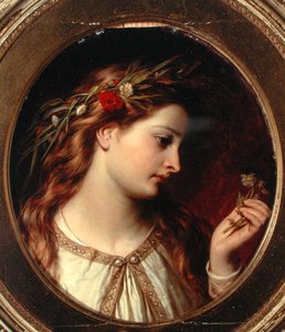 Miranda (gemide yağ)