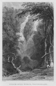 Stock-Gill Force, Westmorland (gravür) by Thomas (after) Allom