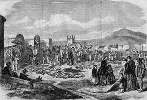 Grahamstown, Arnavutluk, Cape Colony