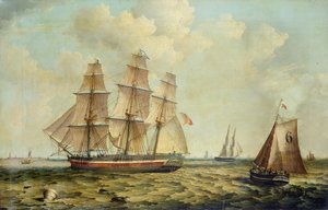 Hull