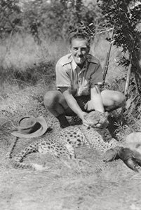 Chaplin Court, leoparı tedavi ediyor, Abercorn