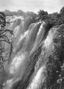Doğu kataraktı, Victoria Şelaleleri, Livingstone