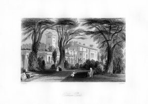 Ockham Parkı, Surrey, 19. yüzyıl.