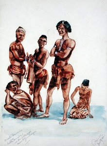 Sığır Çekmecesinde Damaras by Thomas Baines
