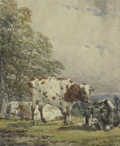Bir Sığır Araştırması, 19. Yüzyıl