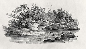 1804