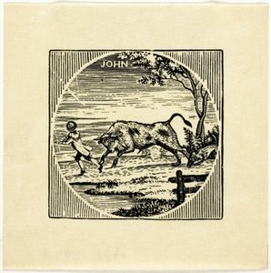 Kitap İllüstrasyon by Thomas Bewick