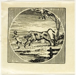 Kitap İllüstrasyon by Thomas Bewick