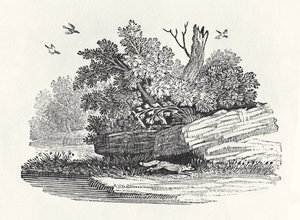 1790