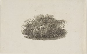 Kuyruk parçası: Bush Man by Thomas Bewick