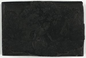 Çiçek Toplayan Kadın için Tahta by Thomas Bewick