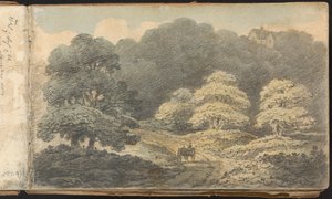 Peyzaj ve Figür Çalışmaları Albümü: Tunbridge Wells yakınlarındaki Horse and Cart ile Peyzaj Sahnesi by Thomas Bradshaw